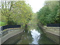 River Brent in Brent River Park