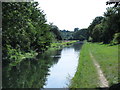 The New River at Bury Green (5)