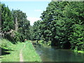 The New River south of College Road, EN8