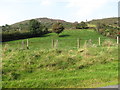 Grazing land on the west side of Mullaghans Road