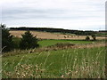 Farmland west of Hatton
