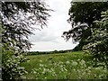 View east from Middles Road, Craghead