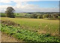 Countryside near Brockhampton