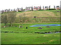 Park and houses in west Biggar