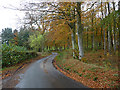 Autumn colours above Minto