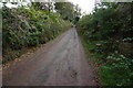 Lane to Ashprington Point