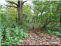 Public footpath St. Mary Bourne 4