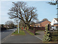 Houses, east side of Alcester Road, Wythall