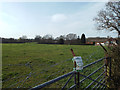 Between the built-on bits ? pasture, west side of Alcester Road, Wythall