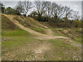 Disused Quarry