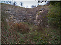 Disused quarry face