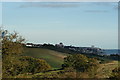 View over Leigh-on-Sea from Hadleigh Castle #2