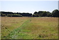 Footpath across grassland