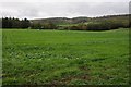 SO5901 : Farmland near Alvington by Philip Halling