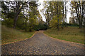 Road leading to Dall Estate