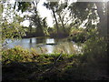 Pond by Mount Pleasant Farm