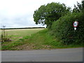 Path and bridleway leave the road