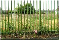 Demolished day nursery, Montgomery Road