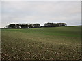 View towards Arras Wold