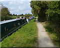 Narrowboats moored along the Coventry Canal