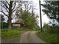 Lane near Home Farm, Arpinge