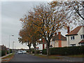 Autumn Colour on Tofts Road