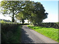 Mole Street:  Bridleway west to Forest Green