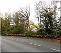 Mirror at the edge of Maesteg Road, Tondu