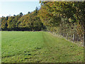 Footpath along field edge