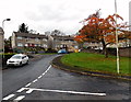 White taxi and autumn colours in Coytrahen