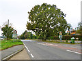 Relaxation of speed limit on A20