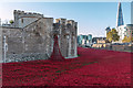 Tower of London and The Shard, London