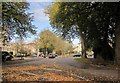 From one roundabout to another, Cheltenham