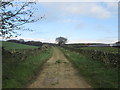 Track to Higher Turnshaw Farm