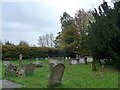 St Stephen, Beechingstoke: churchyard (d)