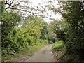 Lane near Arle Grove