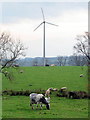 NZ0682 : Wind turbine near East Shaftoe Hall by Andrew Curtis