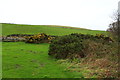 Farmland at Clay Hill