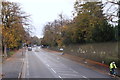 Clarendon Park Road Vicinity, Leicester