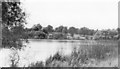 Hanmer Lake, 1951