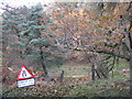 Autumn colour at Coed y Gelli