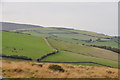 West Somerset : Exmoor Scenery