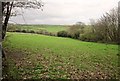 Field near Hartstone Farm