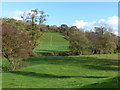 Looking across a field to the Afon Honddu - which can just be seen