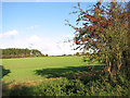 Crop fields by Kipton Heath