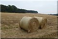 Bales near Howick Hall