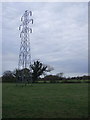 Grazing and pylon