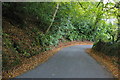 Twisting lane dropping from Leigh Bridge towards Chagford