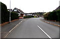 Hedges and houses in Fitzroy Close, Monmouth