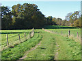 Path towards Hatchlands Park